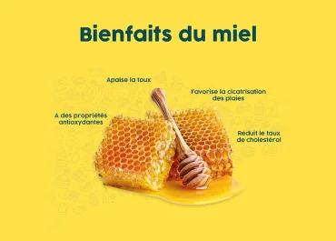 Le miel _ un allié aux multiples bienfaits-featured image