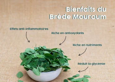 Le moringa _ l’arbre de vie aux mille vertus-featured image