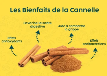 Les vertus secrètes de la cannelle dans votre quotidien-featured image